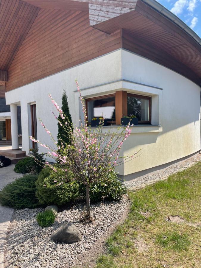 Apartment Przy Lesie Chojno-Blota Wielkie