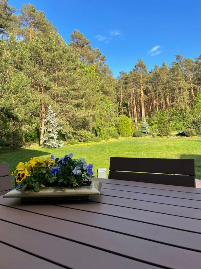 Przy Lesie Apartment