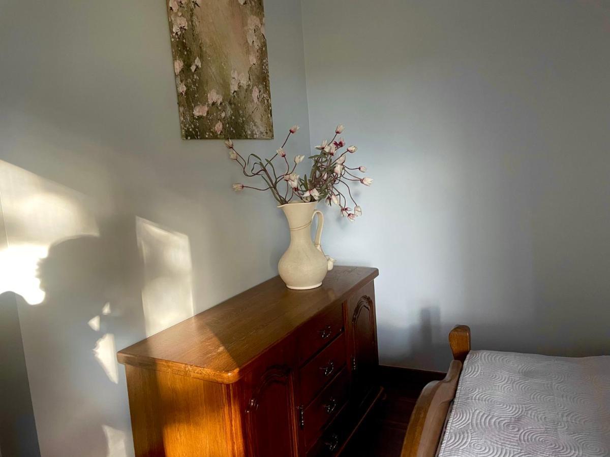 Przy Lesie Apartment *